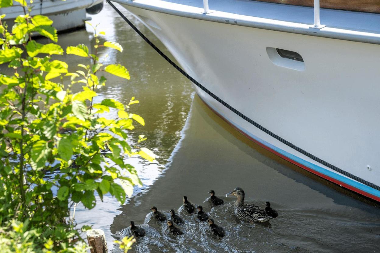 Sealov Hebergements Insolites- Linge, Menage Et Velos Inclus Eaucourt-sur-Somme المظهر الخارجي الصورة